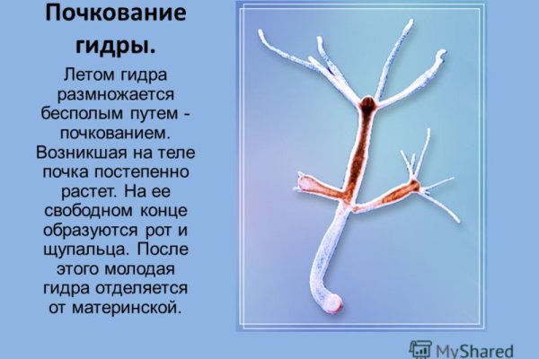 Кракен короткая ссылка