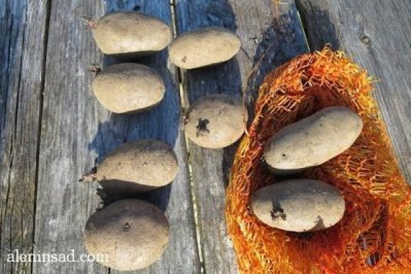 Сайты продаж наркотиков