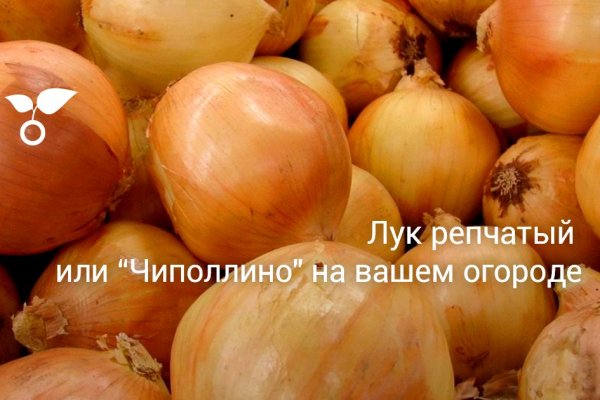Кракен через тор браузер