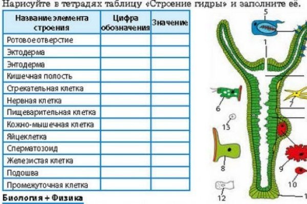 Как вернуть аккаунт на кракене